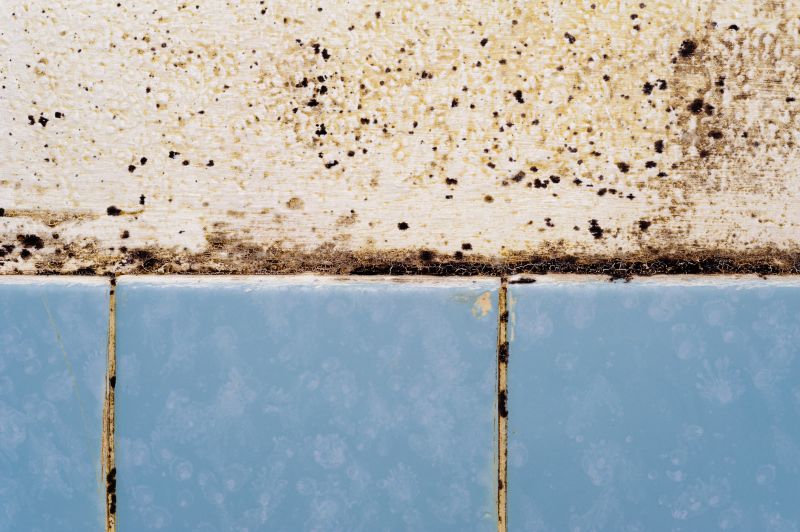 Moss and Mold Growth